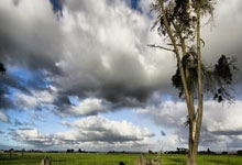 谈球吧：国青队长史松宸：我们实力是够得上亚洲4强的45亮223回复.