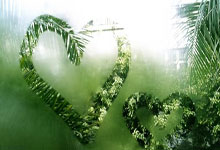 新民體育評泰山0-3申花：兩隊對陣，斯盧茨基智勝！.