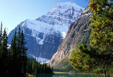 谈球吧：加拉塔薩雷求簽弗雷德！首份報價已遞交曼聯！.